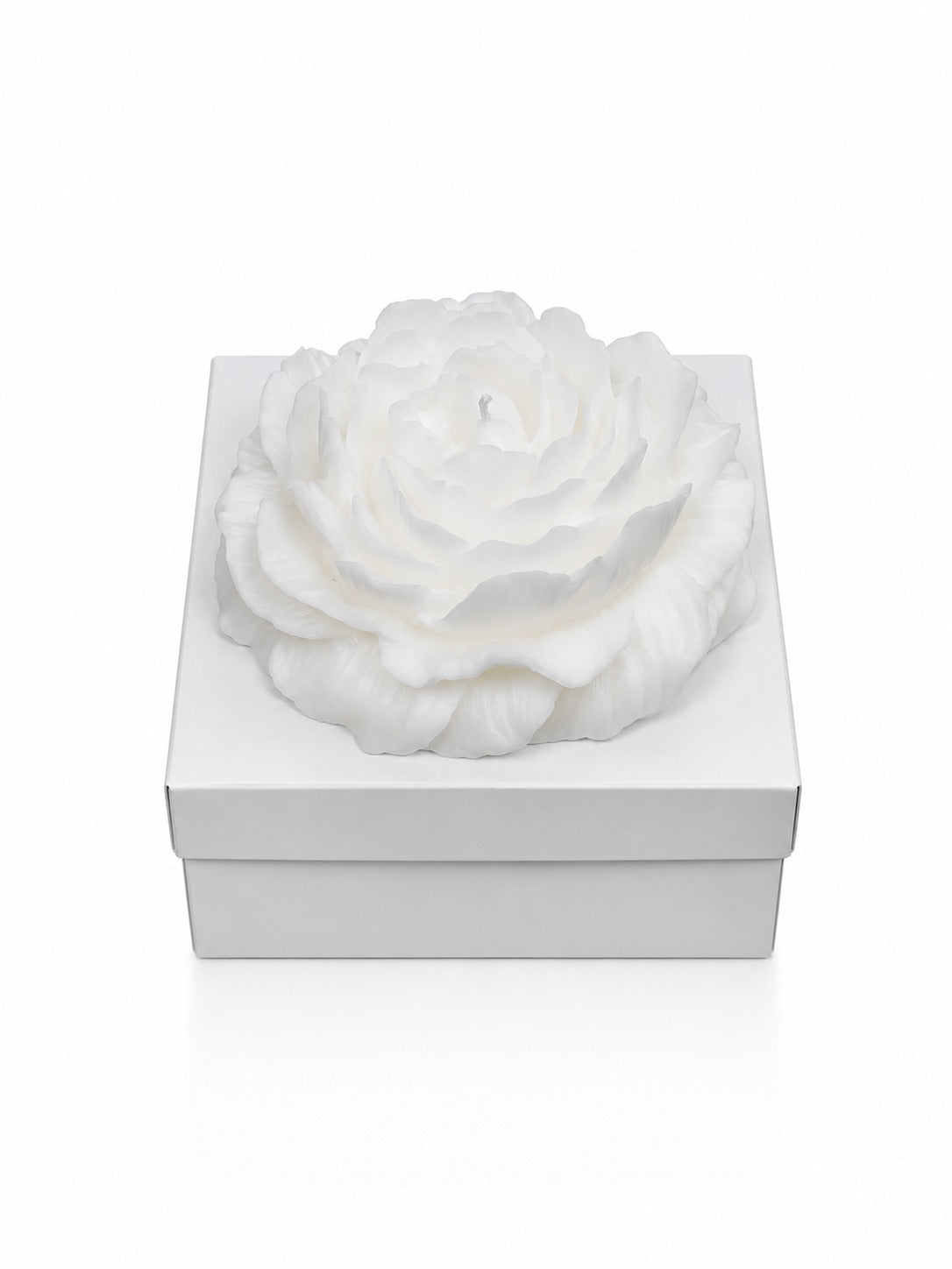AromaGlow Candle - Extra Large Calming Peony